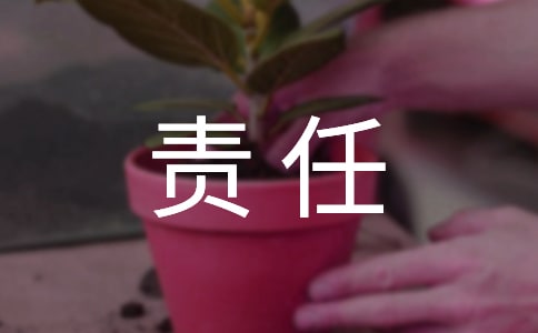 安全責(zé)任承諾書范文匯編5篇