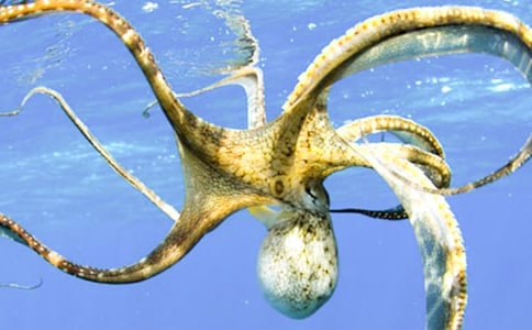 �аࡶ�옷(l��)�����~(y��)�����g(sh��)�̰�