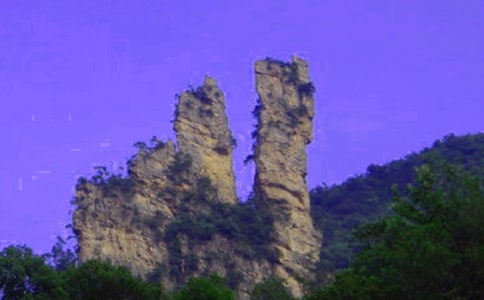 �P(gu��n)�ڏ��ҽ綬�������