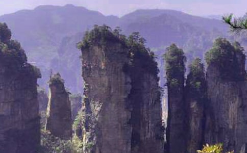 �����x�����ҽ����꼉������ƪ