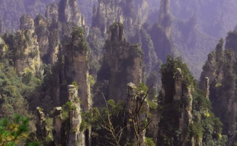 關(guān)于張家界四年級(jí)作文匯編九篇