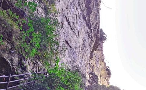 �����˵ď��ҽ硷��(y��u)��̰��O(sh��)Ӌ����