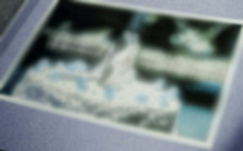 ���ᣩ�ҵ���Ƭ����15ƪ