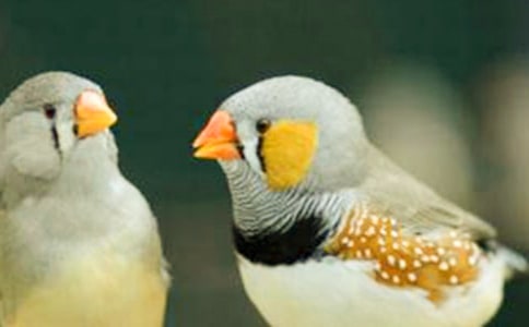 �������B���Ľ̌W��˼��ͨ��5ƪ��