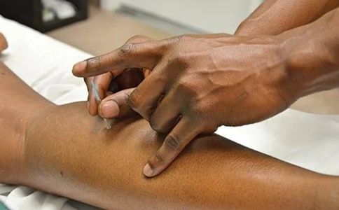 �W��ᘾĵ��ĵ��w������