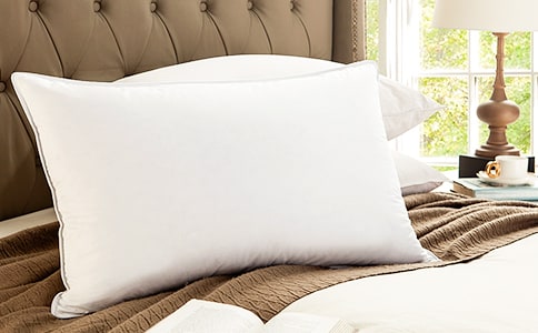 枕頭下的夢四年級作文