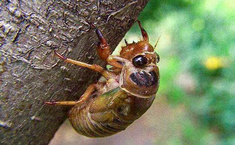 ����֪�˵�����600��