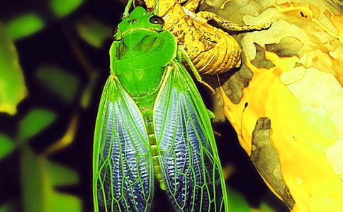 ���꼉(j��)�����֪�˵����ģ�ͨ��33ƪ��