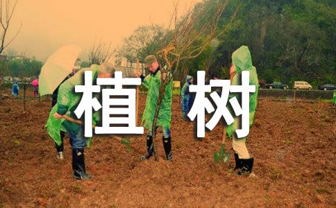 ����Ʒ��ֲ�����֌�(sh��)ʩ����