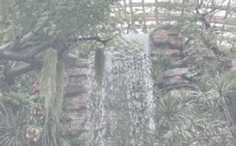 ֲ��@300�����ģ�ͨ��38ƪ��