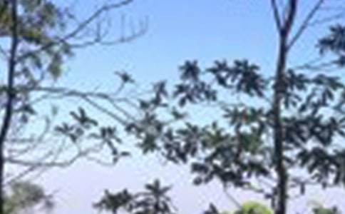 描寫中午的優(yōu)美段落