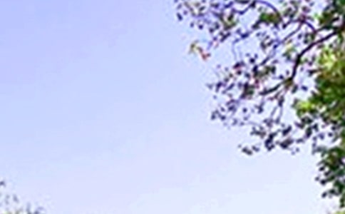 �������������