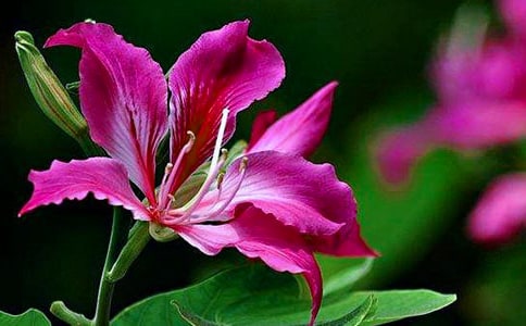 �y�����G�����꼉����