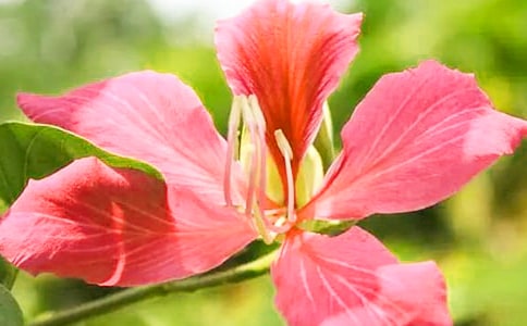 У���G������450��