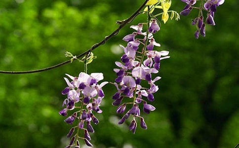 ���ٻ��_(k��i)����(�R��8ƪ)