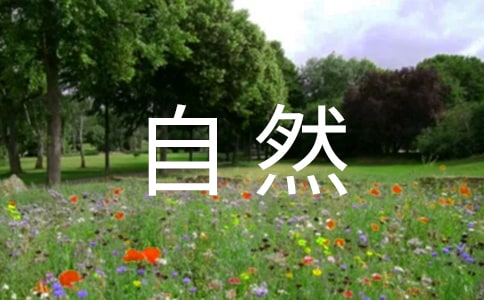 ����Ȼ���Z���n�Ľ̌W(xu��)����