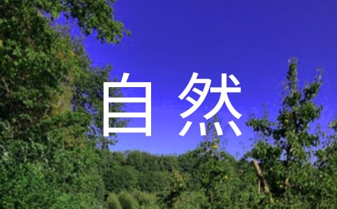 小學(xué)自然第十二冊(cè)教學(xué)總結(jié)