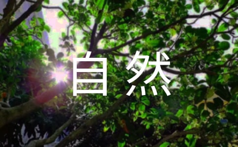 ������Ȼ���fԒ���x���