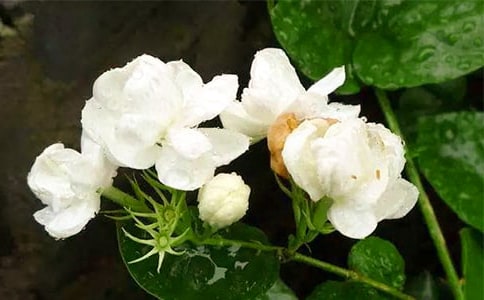 ��������������300��