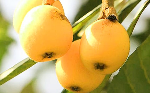 ����όW(xu��)�����g(sh��)�̰���ˮī�����ˡ�����˼