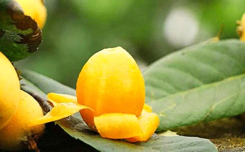 ���˘����꼉����150�֣�ͨ��17ƪ��