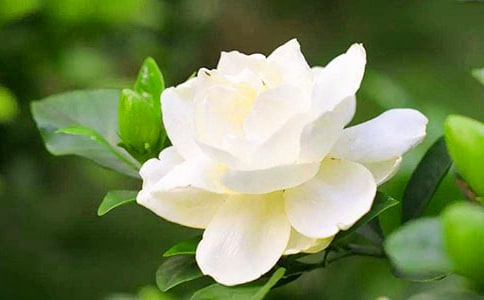 �d�ӻ��_�ĕr��ɢ��500��