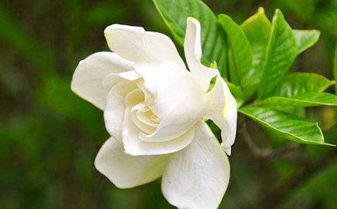 ��(y��u)�����ɢ��:����,�d�ӻ��_��