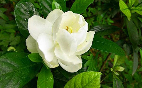 �d�ӻ�С�W(xu��)���꼉����