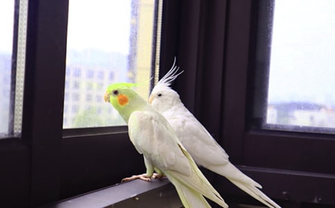 ��Ƥ�W�^��800������