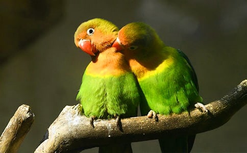 �����W�^�ޱ��[�⡷��Ԋ�b�p