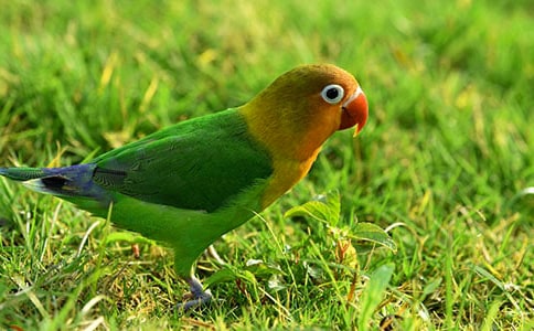 �W�^ͯԒ���ąR��6ƪ