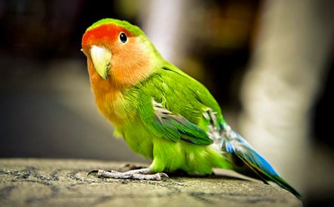 С�W�^���꼉(j��)���ģ����x62ƪ��