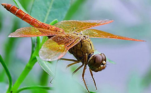 ׽�������꼉����