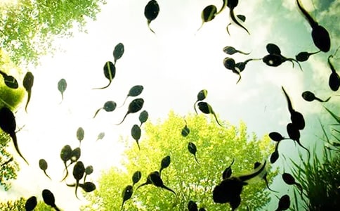 С�����g(sh��)С���̰�