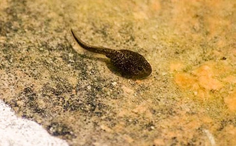 С����ҋ����̌W(xu��)Ӌ(j��)��