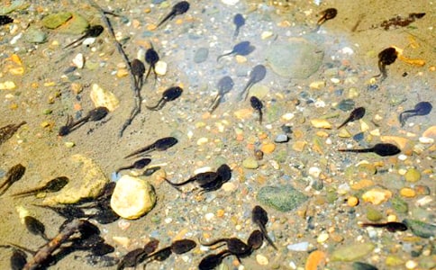 ���g(sh��)��С����ҋ�������(y��u)��̌W(xu��)��˼