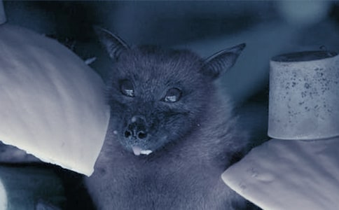 �˽��n��(bi��o)�桶��������_(d��)���̌W(xu��)�O(sh��)Ӌ����