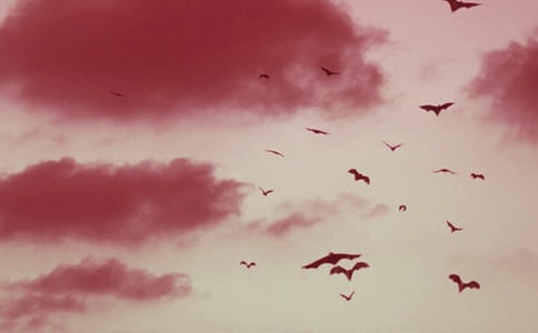 ������ô�^(gu��)��