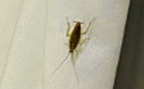 ��������С�W(xu��)���꼉����600��