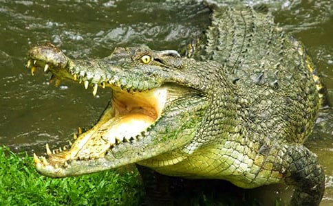 ��؈�ʹ��{�~ͯԒ����