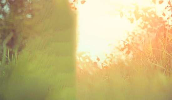 �����]�����L(f��ng)Ψ������ժ�48��