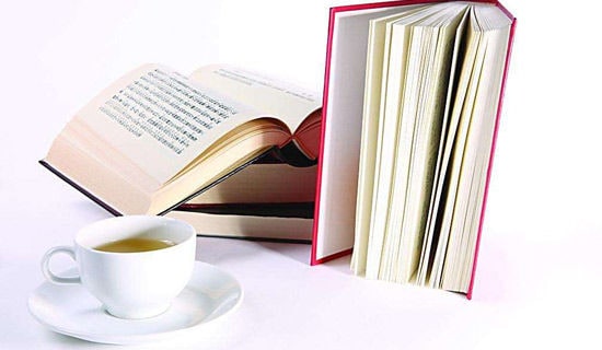 感謝書籍的中學(xué)生作文