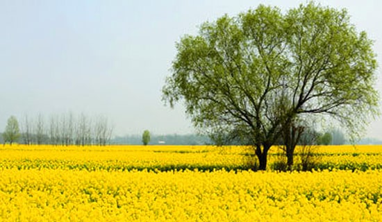 ���η���8ƪ[��(sh��)��]